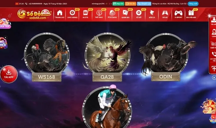 Đá Gà Tại Sodo6789 Trực Tiếp Thomo Đỉnh Cao Cược Ngay Thắng Lớn 1 Sảnh đá gà Sodo6789 thiết kế giao diện đẹp, chuyên nghiệp