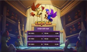 Đá Gà 3D Tại Sodo6789