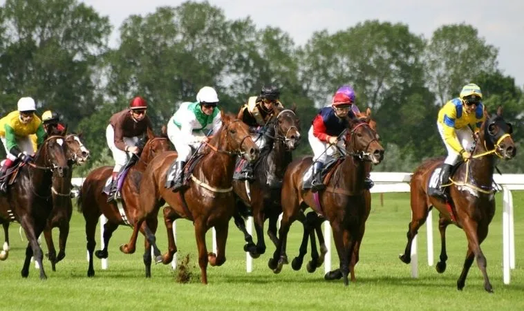 Làm Giàu Từ Cá Cược Đua Ngựa Sodo6789 Không Hề Khó 1 Đua Ngựa Sodo6789